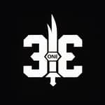 313 Support